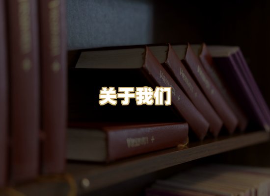 关于我们